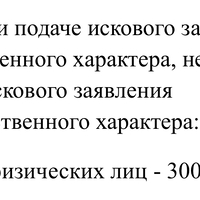 IMG_2889